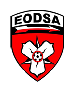 EODSA League - Indoor logo